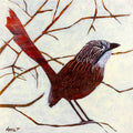 Mukarrthippi Grass Wren
