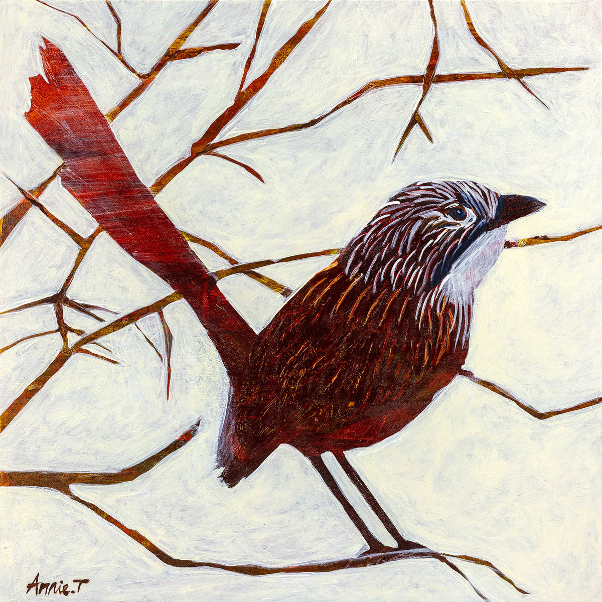 Mukarrthippi Grass Wren